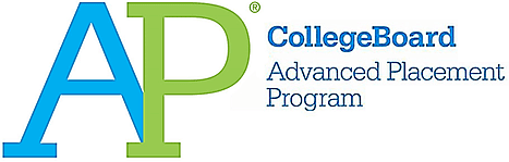 WHAT IS THE ADVANCED PLACEMENT (AP) PROGRAM?